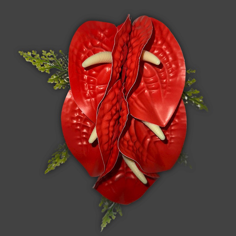 5 - Anthurium Clip