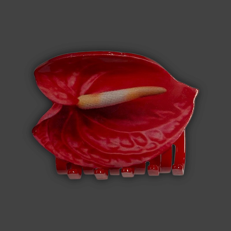 Anthurium Claw Clip