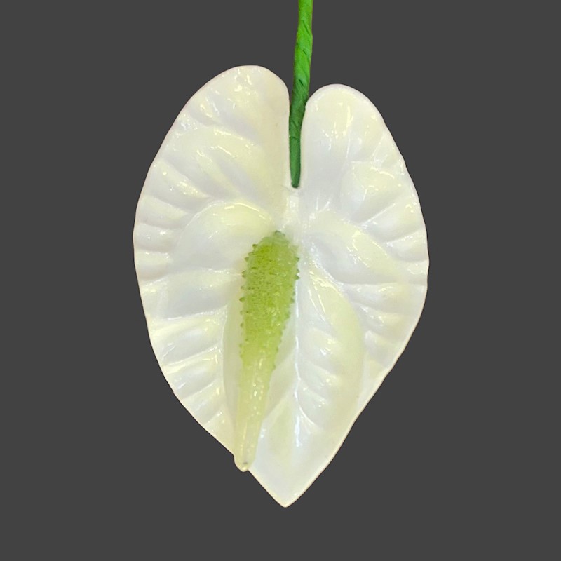 Anthurium Foam Pick