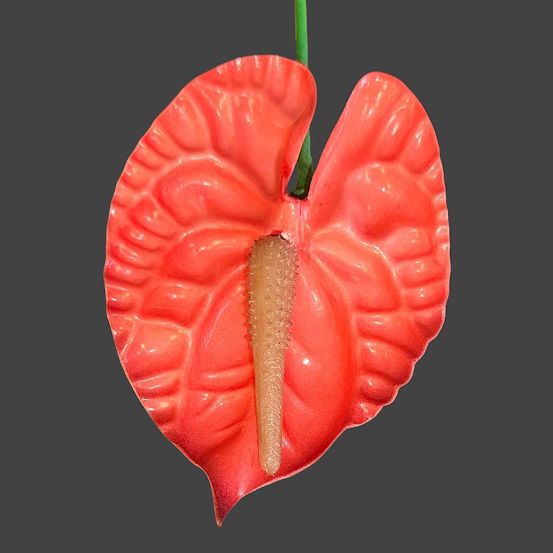 Anthurium Foam Pick