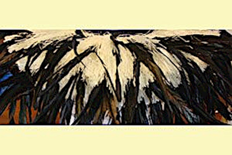 Black Feather Bustle Hipband