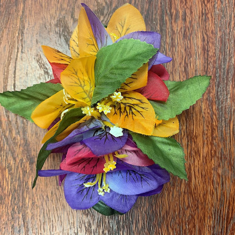 Bougainvillea Clip