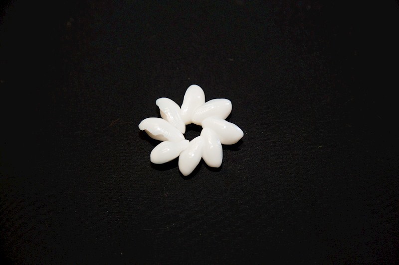 Bubble Shell Rosette