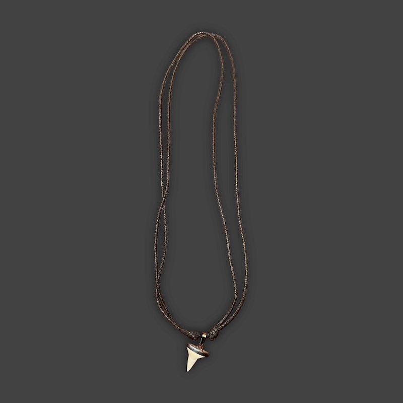Child Shark Tooth Necklace