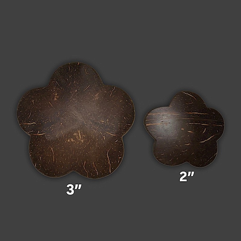 Coconut Shell