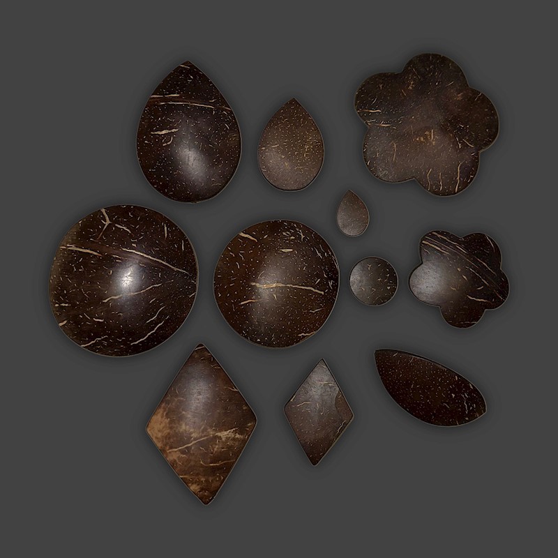 Coconut Shell