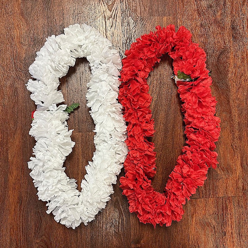 Double Carnation Lei
