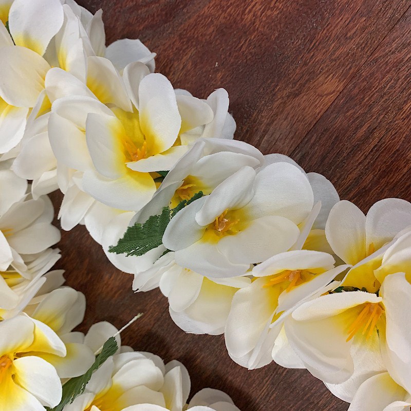 Double Plumeria Lei
