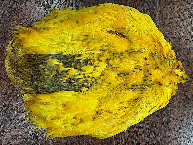 Dyed Pheasant Pelt