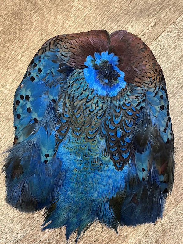 Dyed Pheasant Pelt
