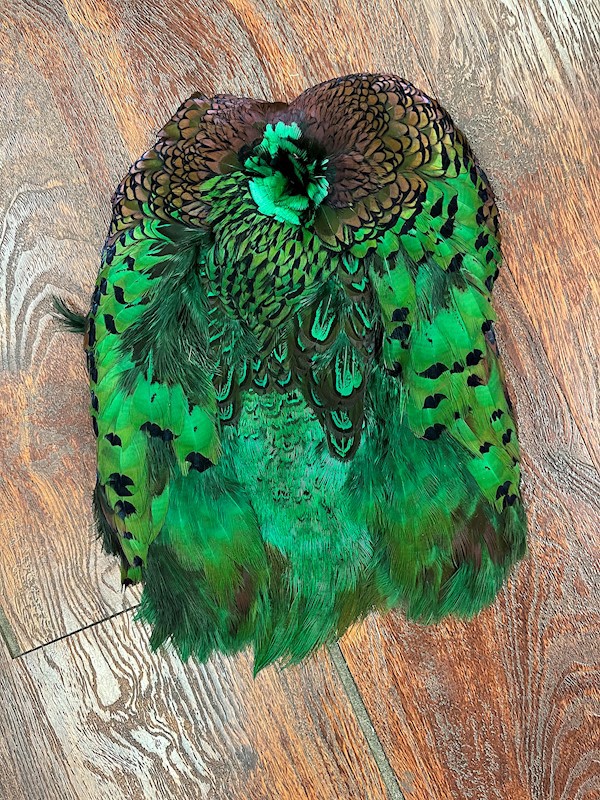 Dyed Pheasant Pelt