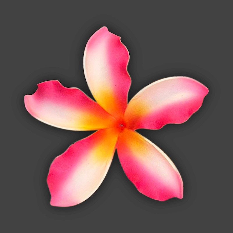 Extra Large Sunset Plumeria Pick