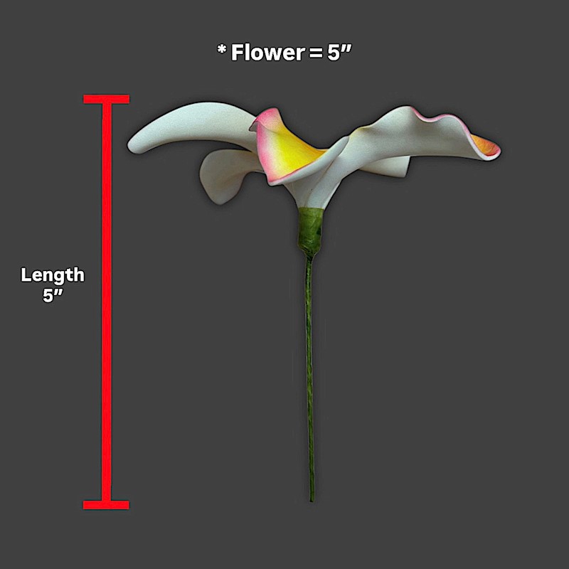 Extra Large Sunset Plumeria Pick