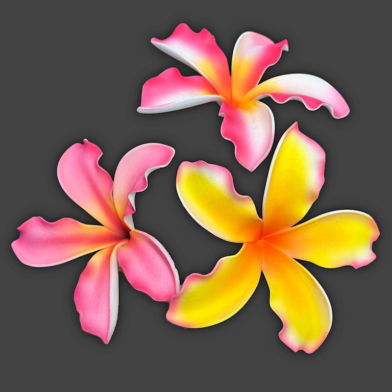Extra Large Sunset Plumeria Pick