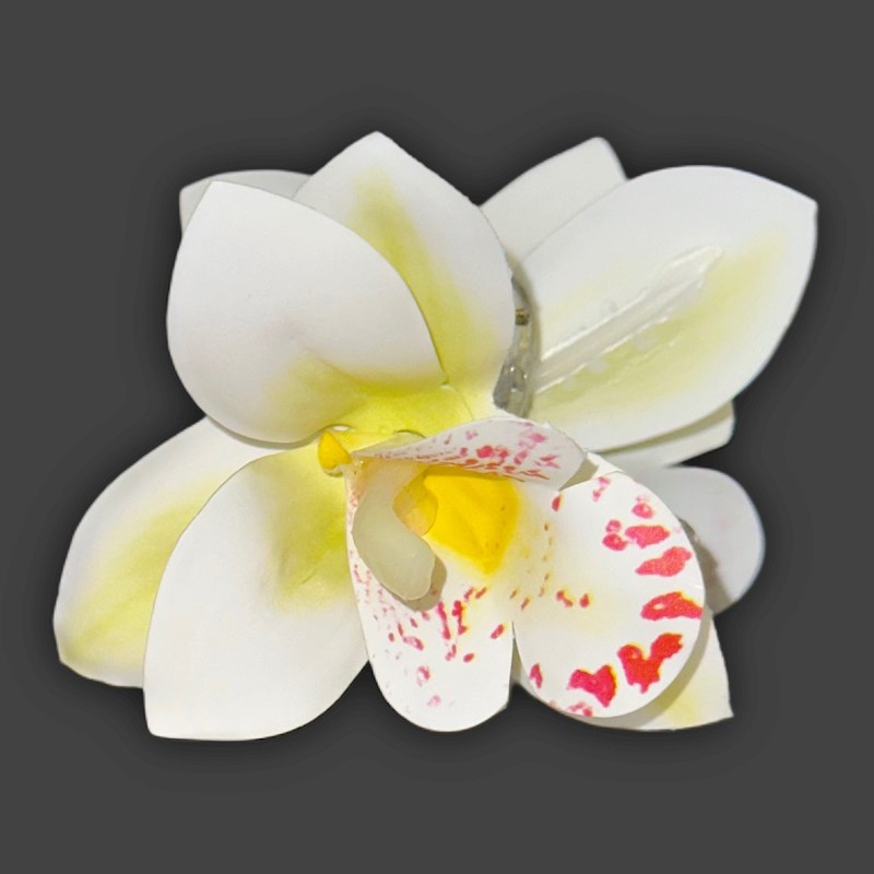 Extra Small Orchid Claw Clip