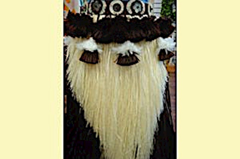 Fancy Professional Tahitian More' Costume