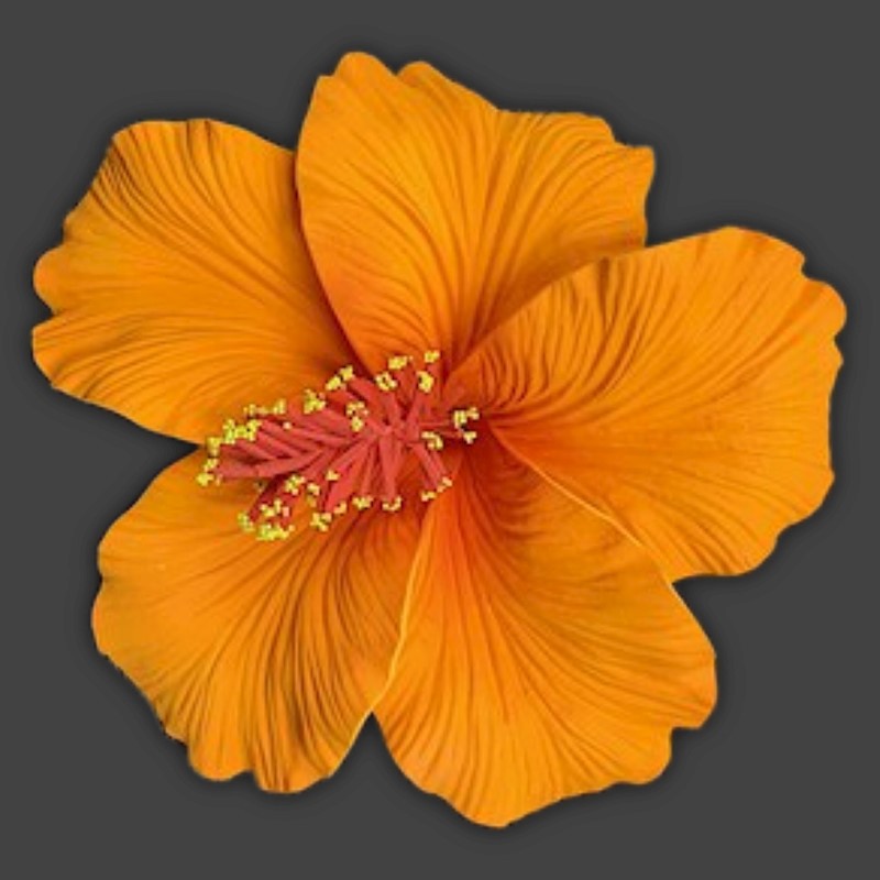 Foam Hibiscus Pick
