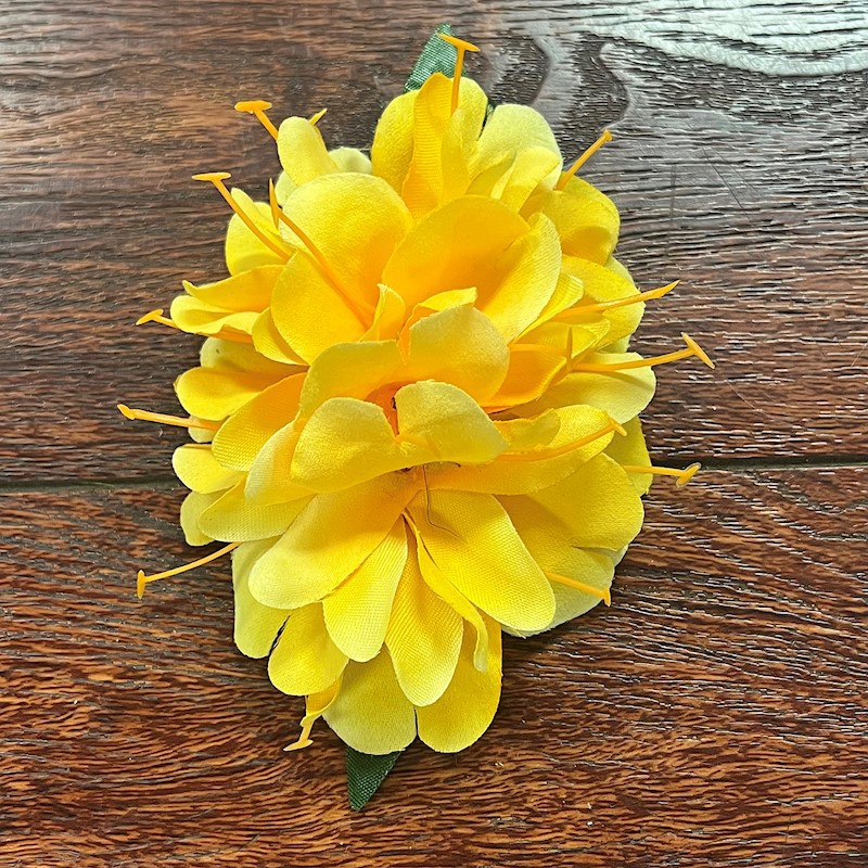 Kahili Ginger Clip