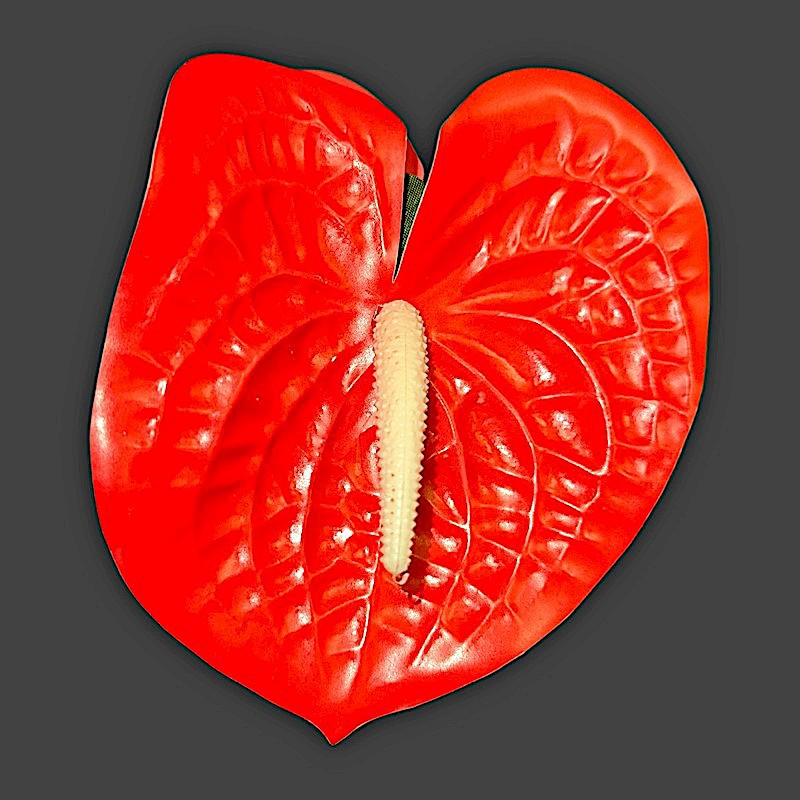 Large Anthurium Claw Clip