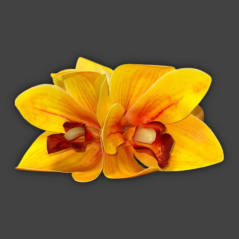 Large Orchid Claw Clip