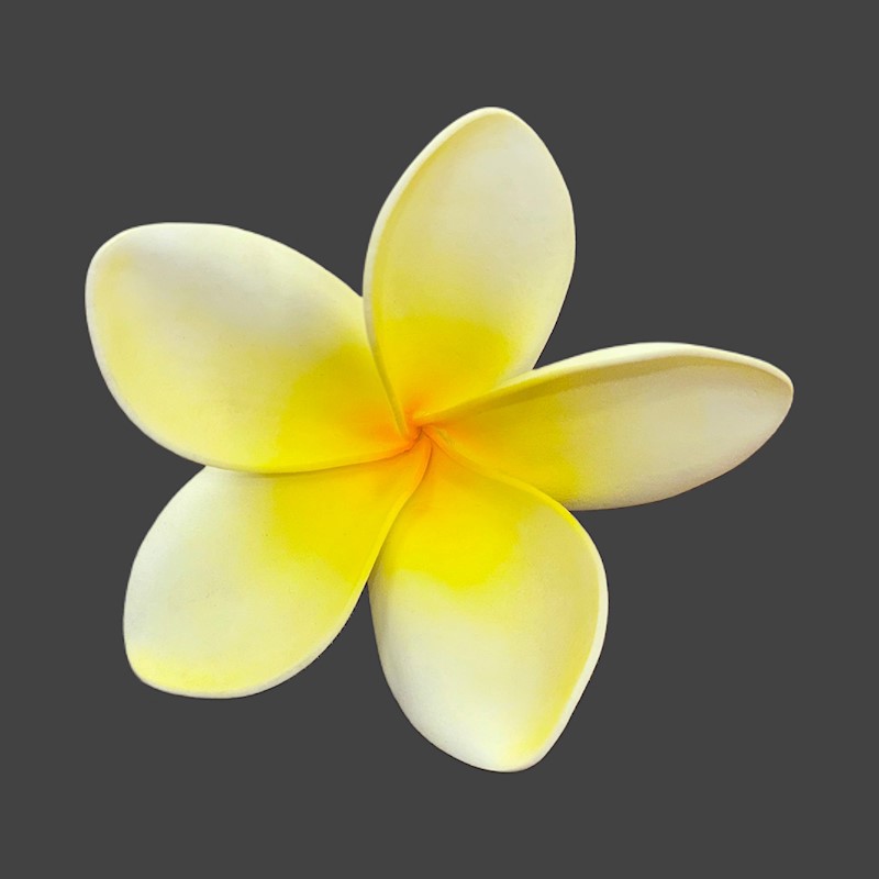 Large Plumeria Pick