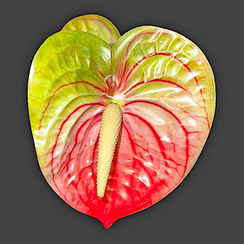 Large Waxed Anthurium Pick