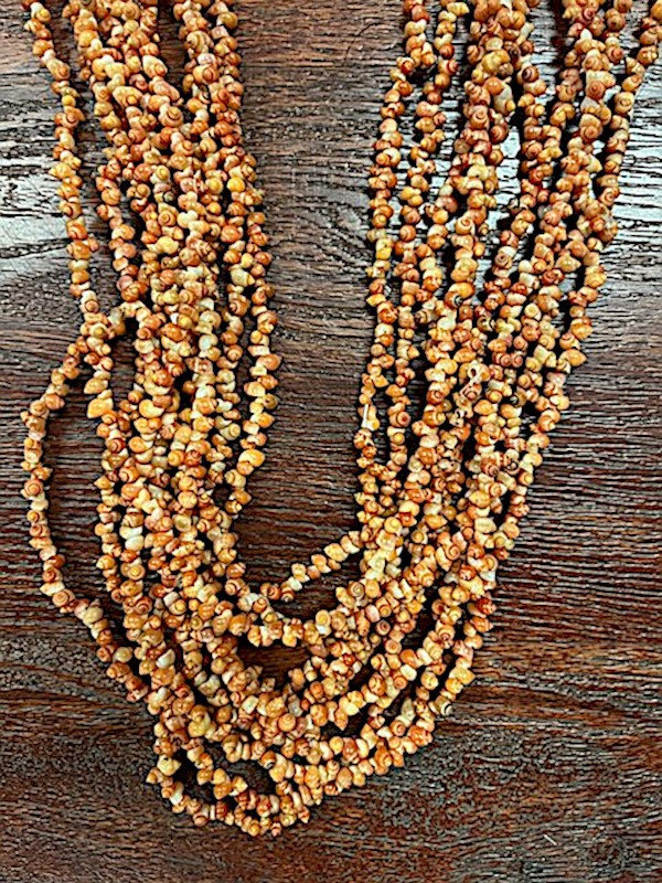 Long Pikake Shell Lei