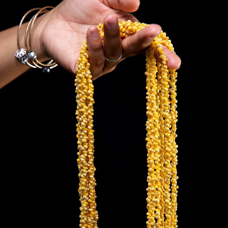 Long Pikake Shell Lei