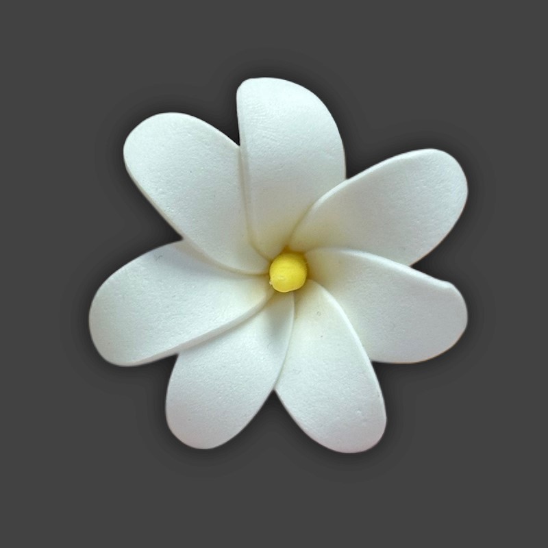 Na'u - Tiare Flower Pick