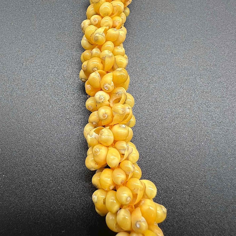 Pikake Shell Rosette Lei