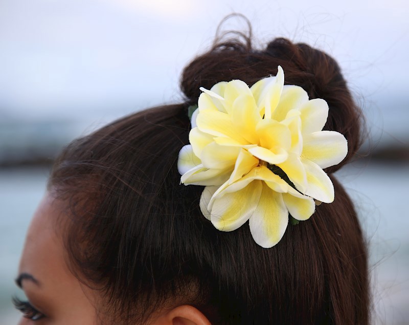 Plumeria Clip - Yellow