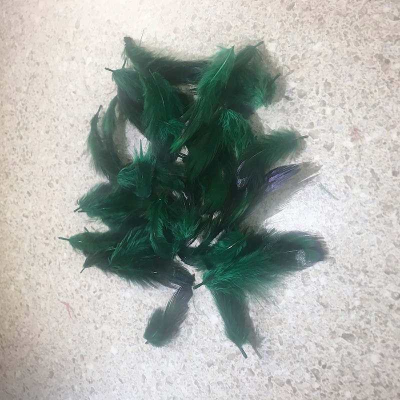 Ringneck Pheasant Hearts