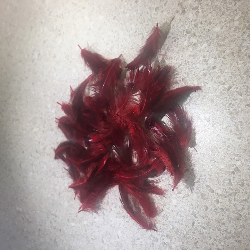 Ringneck Pheasant Hearts