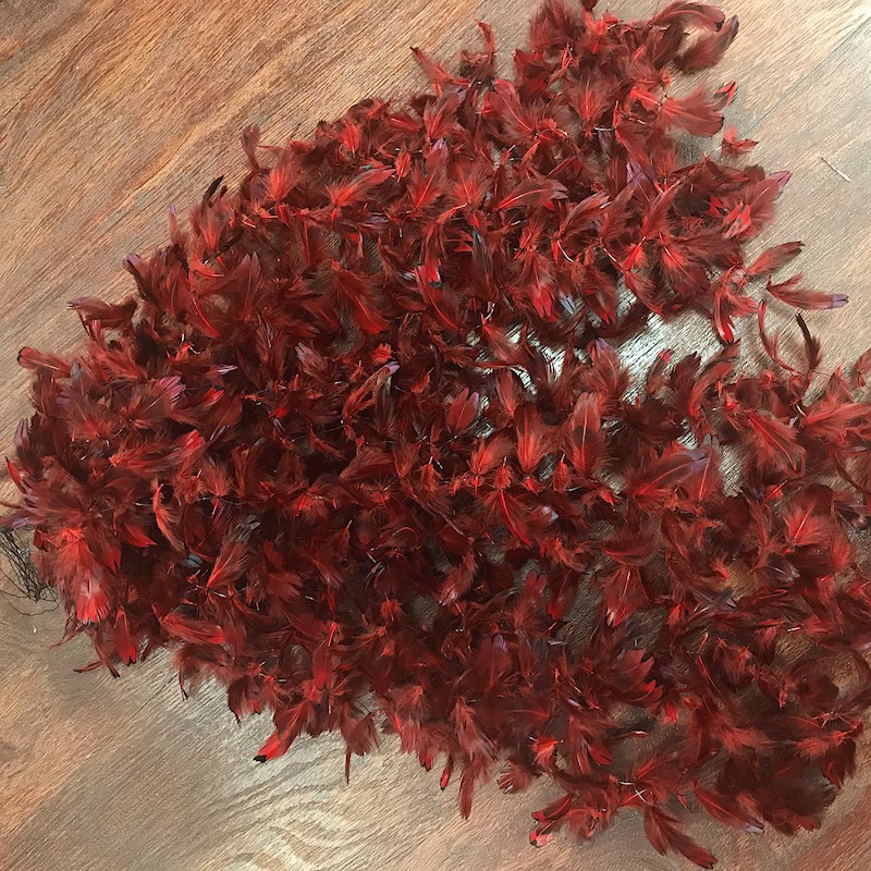 Ringneck Pheasant Hearts