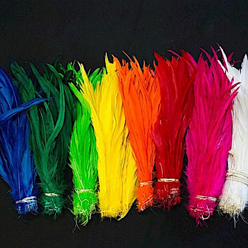 Rooster Tail Feathers