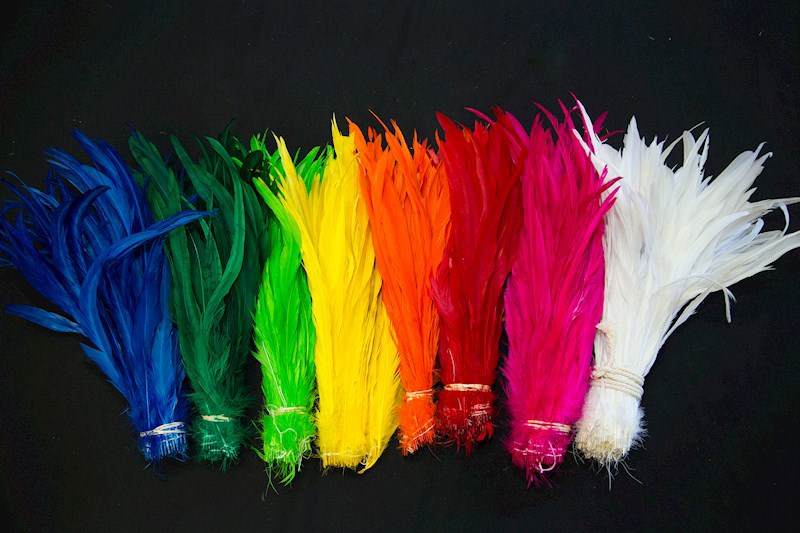 Rooster Tail Feathers
