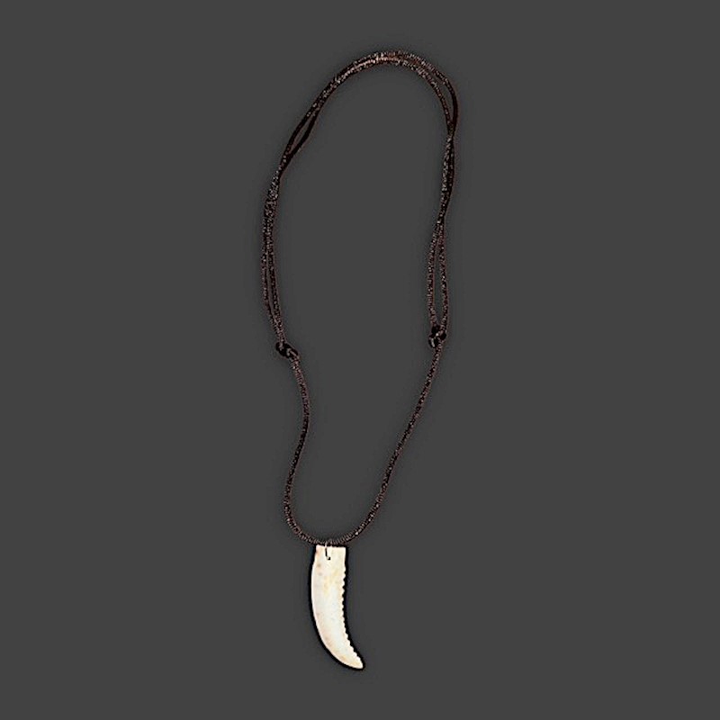 Shark Tooth Necklace