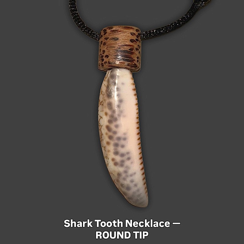 Shark Tooth Necklace