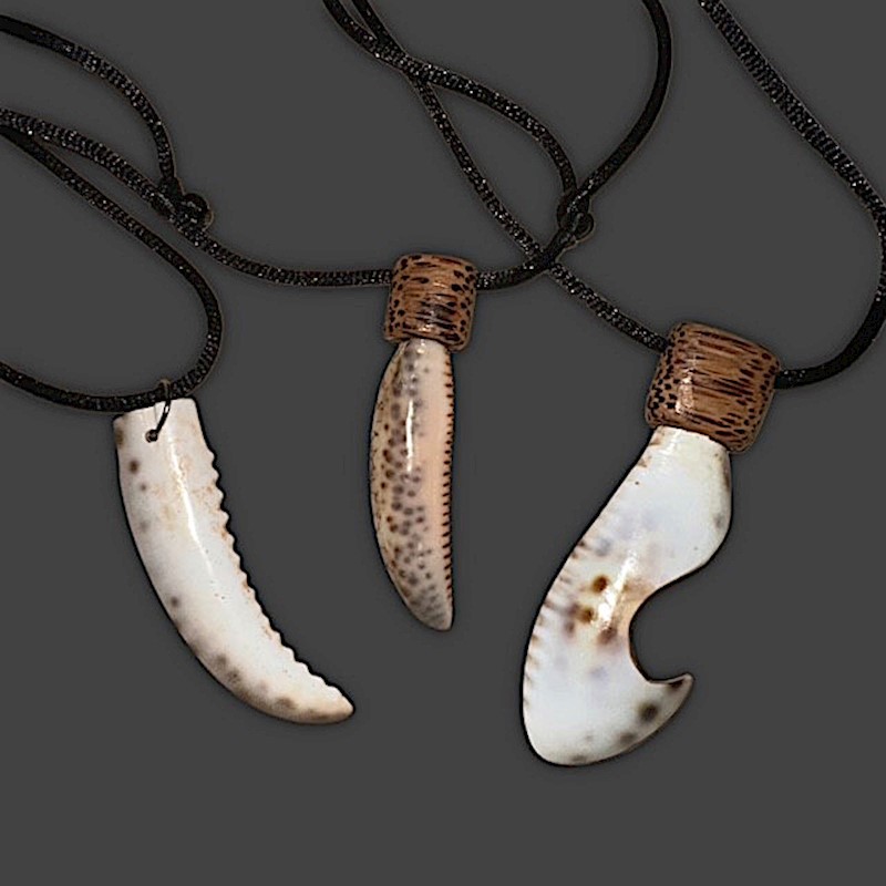 Shark Tooth Necklace