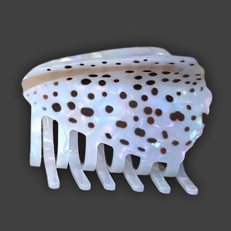 Shell Claw Clip