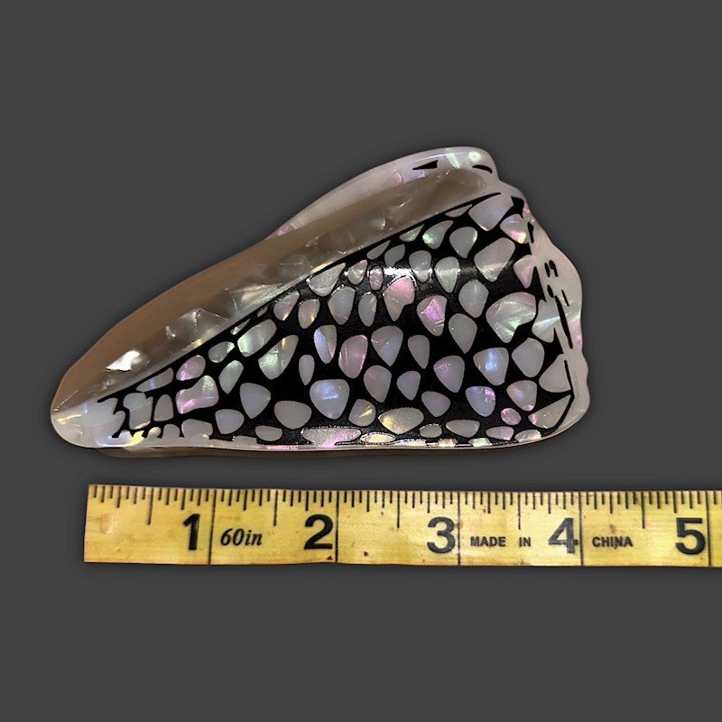 Shell Claw Clip