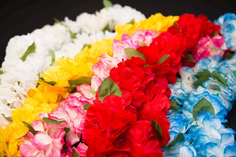 Single Carnation Lei