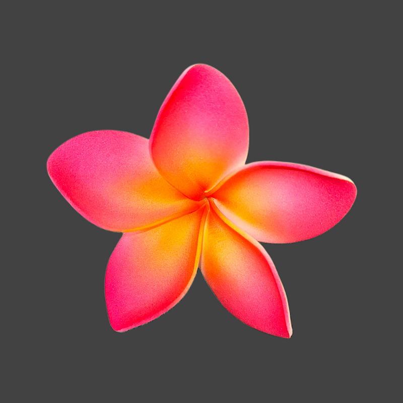 Small Plumeria Pick