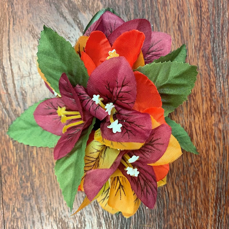 Special Bougainvillea Clip