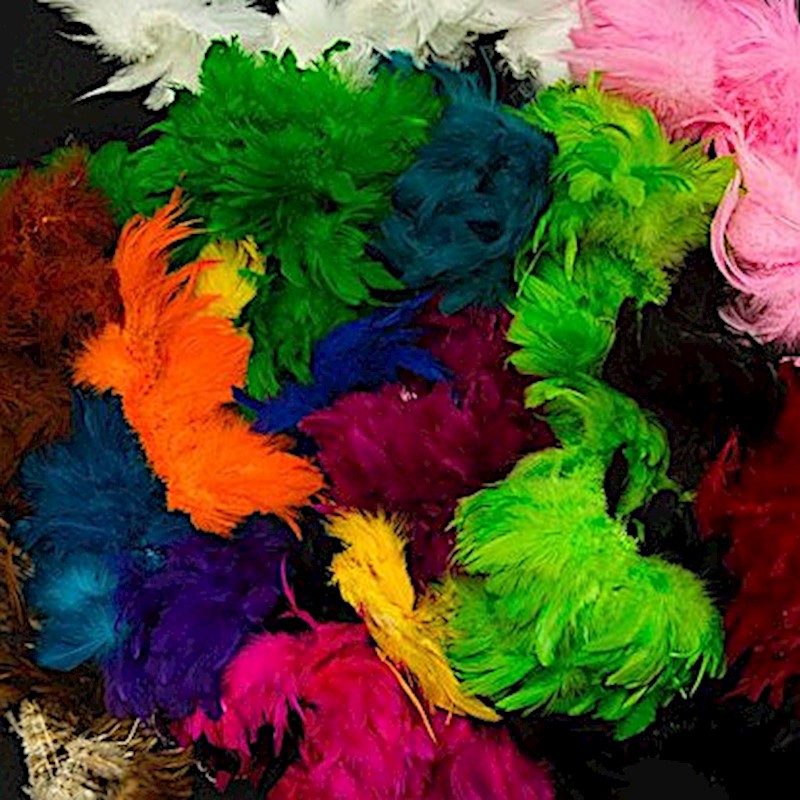 Strung Feathers