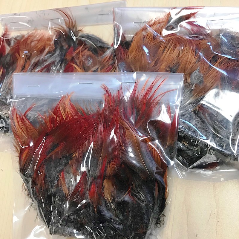 Strung Pheasant Feathers