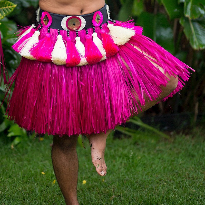 Tane Professional Skirt