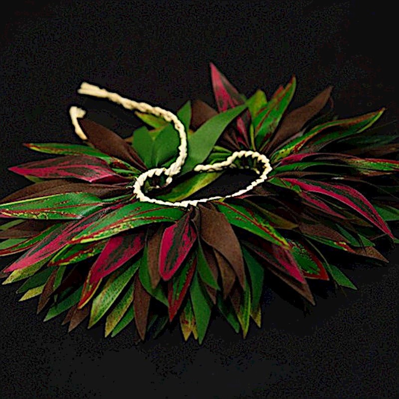 Ti Leaf Hairpiece