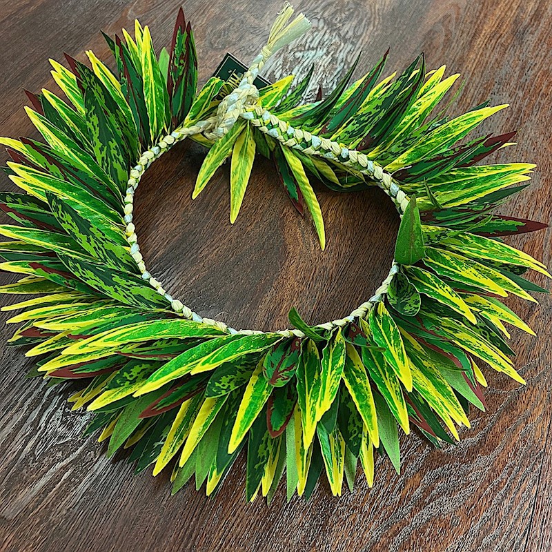 Ti-Leaf Haku