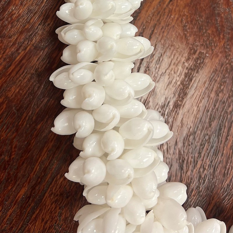 White Bubble Shell Rosette Lei